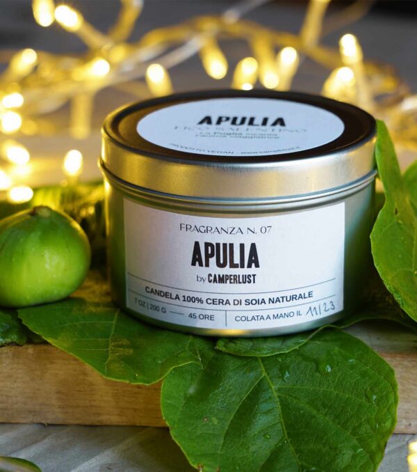 apulia candela di soia natale al fico salentino candlelust camperlust